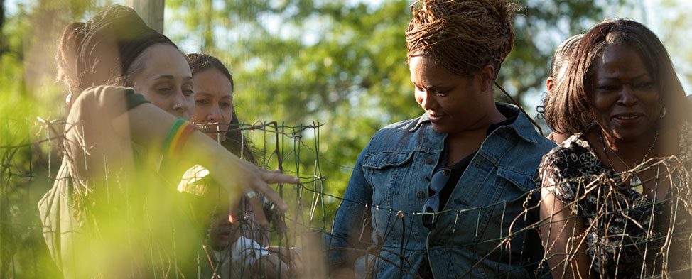 Group of African American women exploring Healcrest Urban Farm, which is located in the East End of Pittsburgh, in the warm evening sunlight.