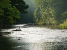 Loyalhanna Watershed Association, Inc.