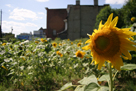 GTECH (Growth Through Energy & Community Health)